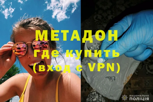 прущие грибы Киренск